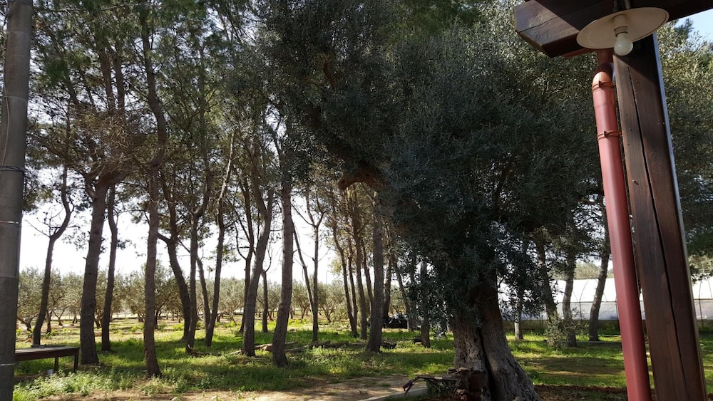 Tenuta Cavalieri
