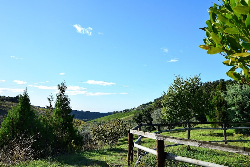 Studio in Marche With Pool Near Adriatic