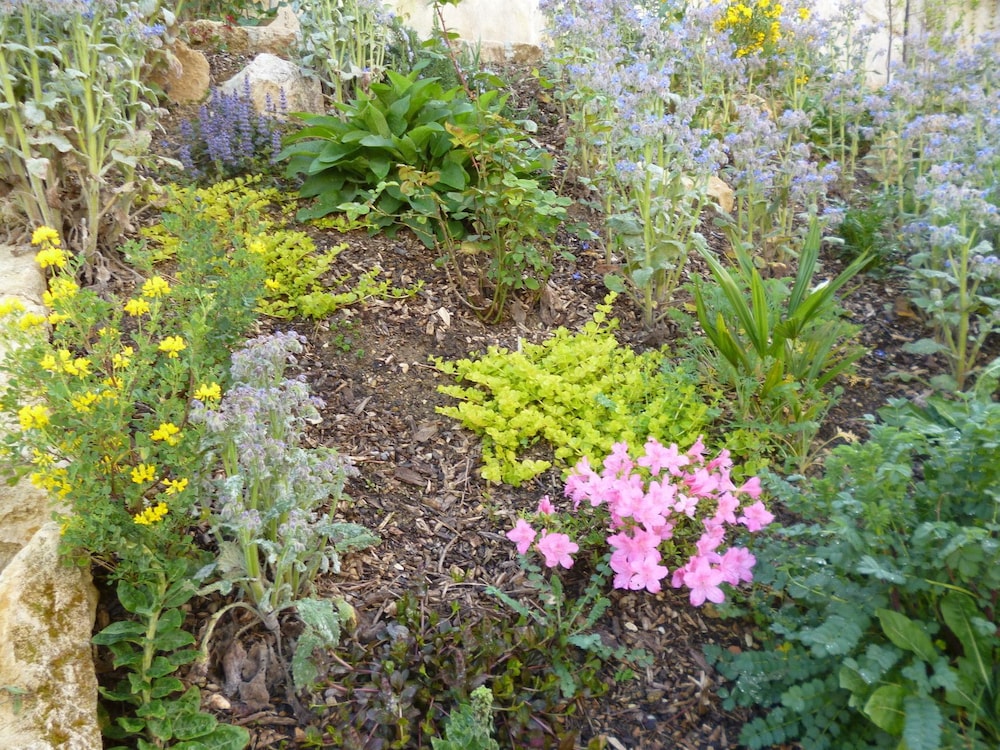 Photo 14