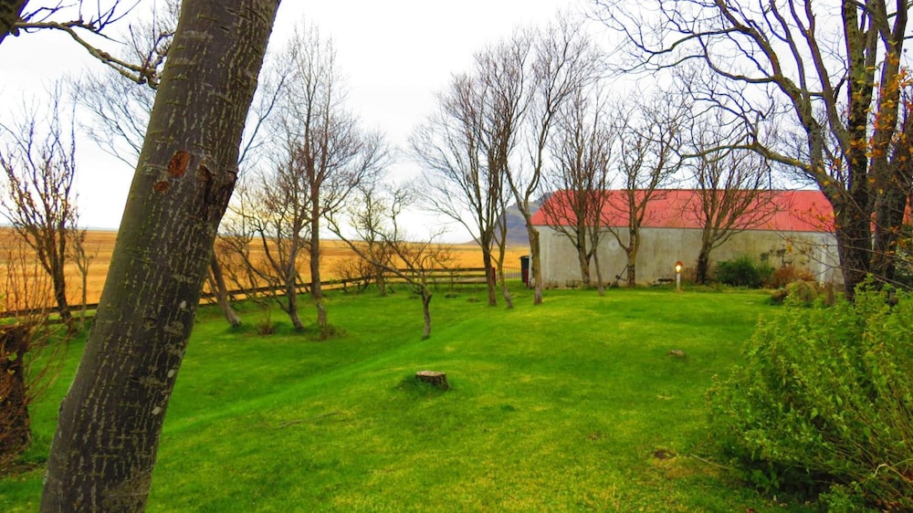 Photo 43
