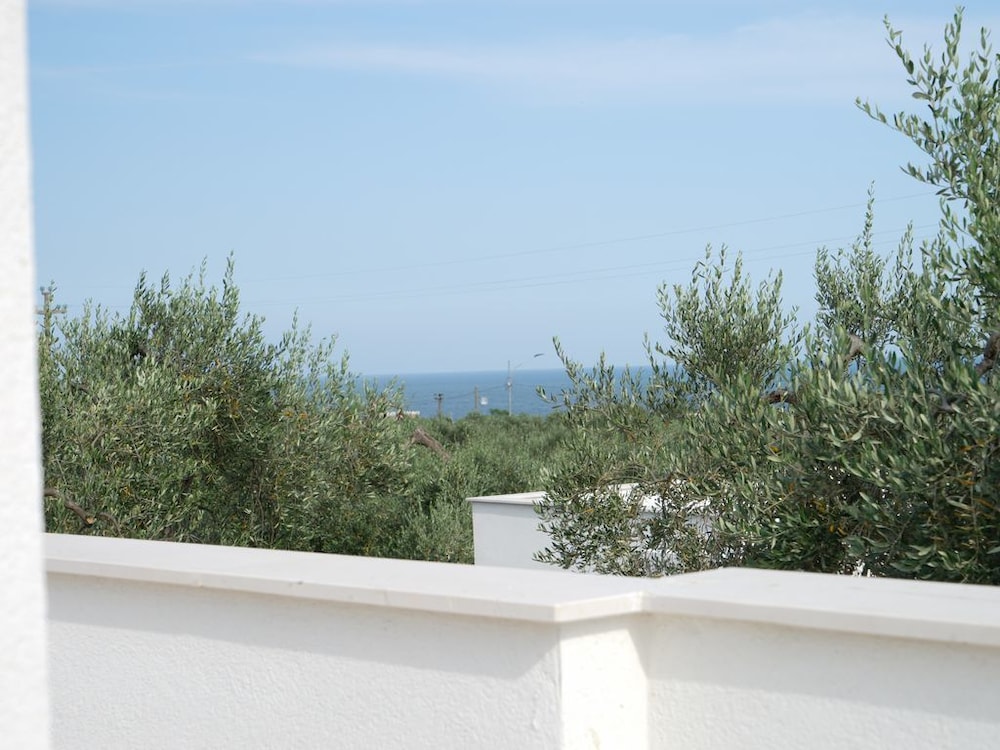 Tenuta Santa Maria