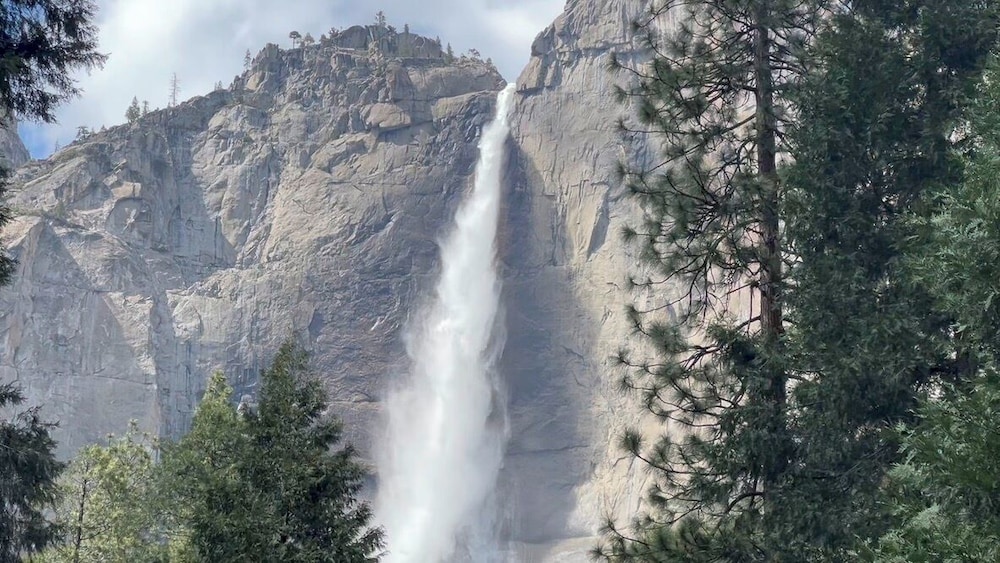 Yosemite Bug Rustic Mountain Resort