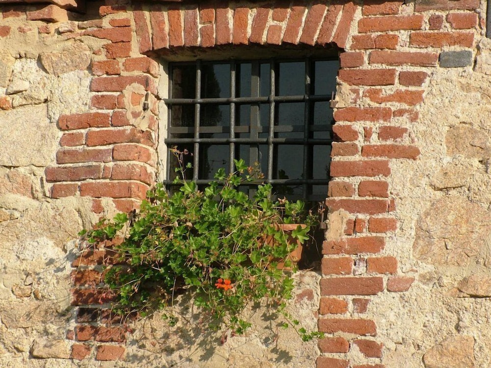 Photo 34
