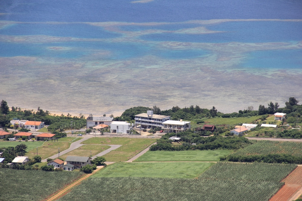 Umisuzume, Ishigaki - 21
