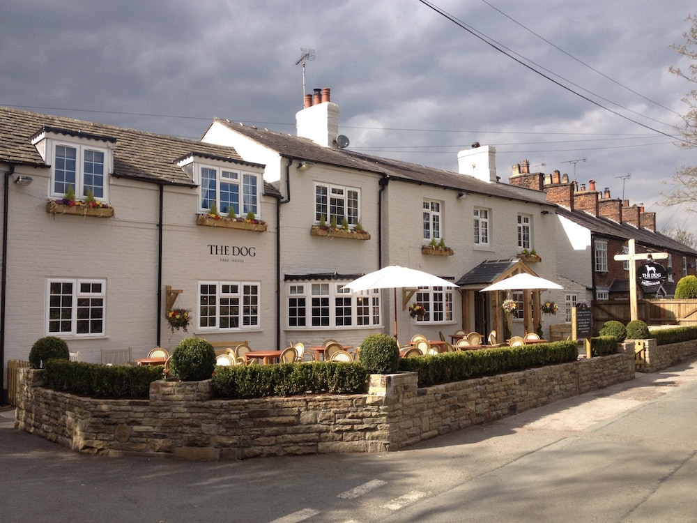 The Dog at Peover