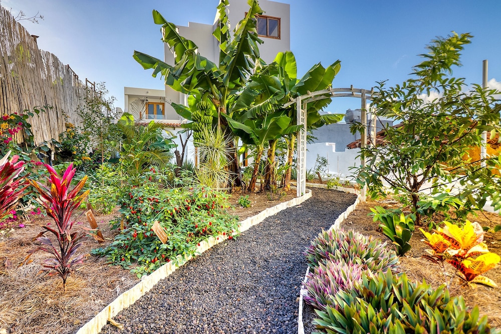 Special Home w Tropical Garden Near Seaside