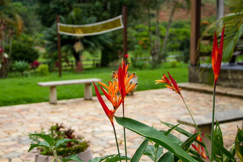 Pousada Fazenda Polyanna