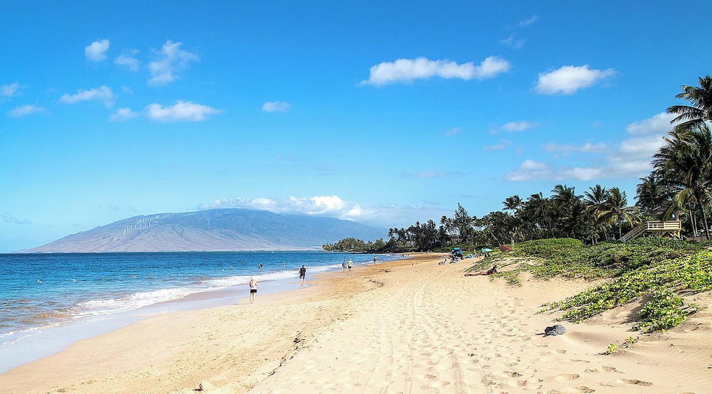 Maui Vista 1-308 - Steps From the Beach, Renovated, Ocean Views, New Windows, AC