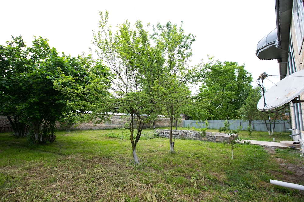 Photo 31