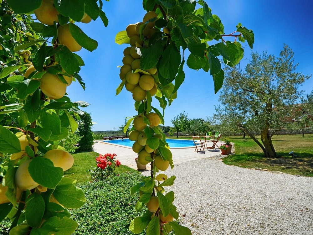 Villa Benka With View