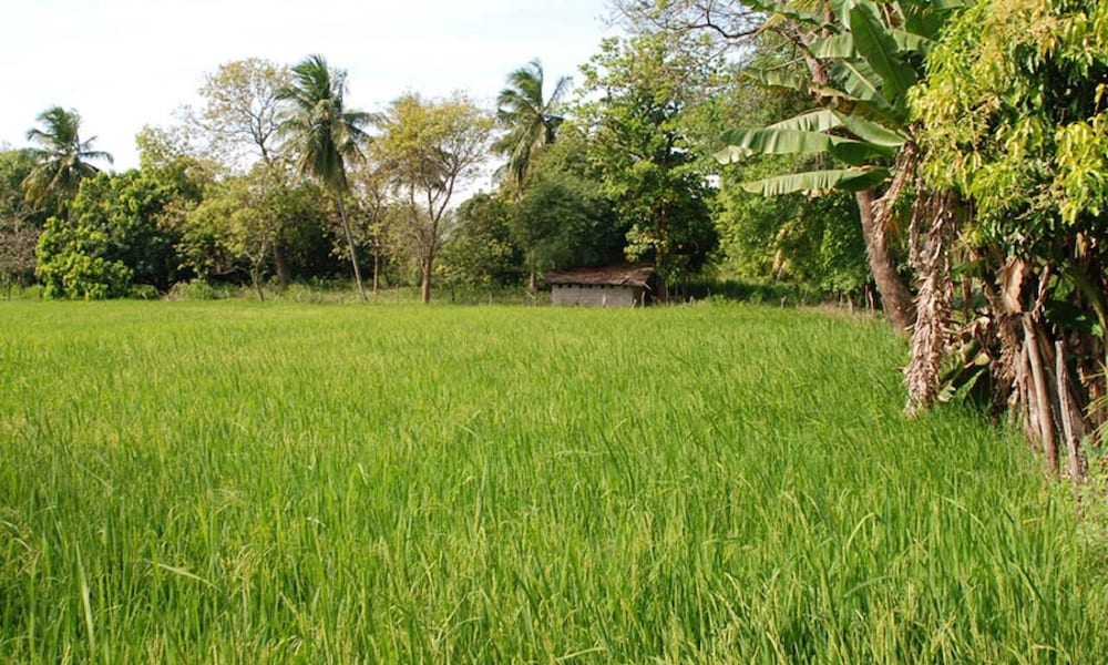 Kuda Oya Cottage