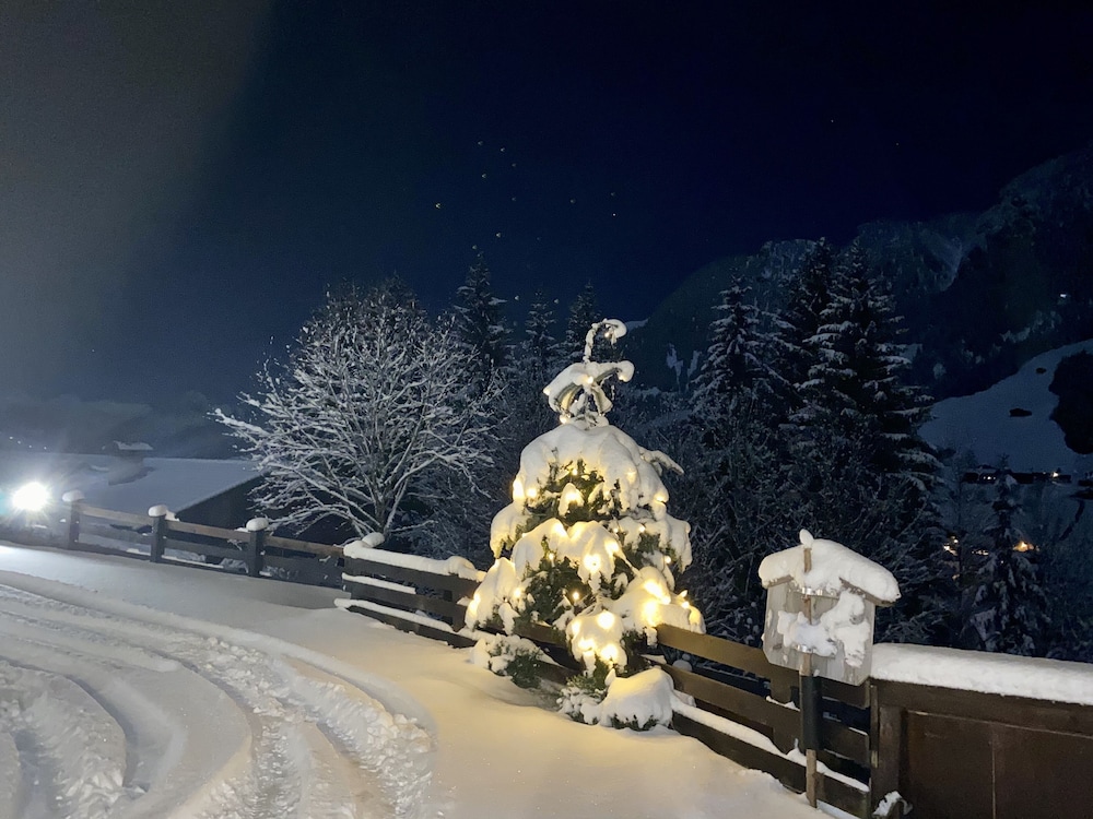 Alpbach Bergwald