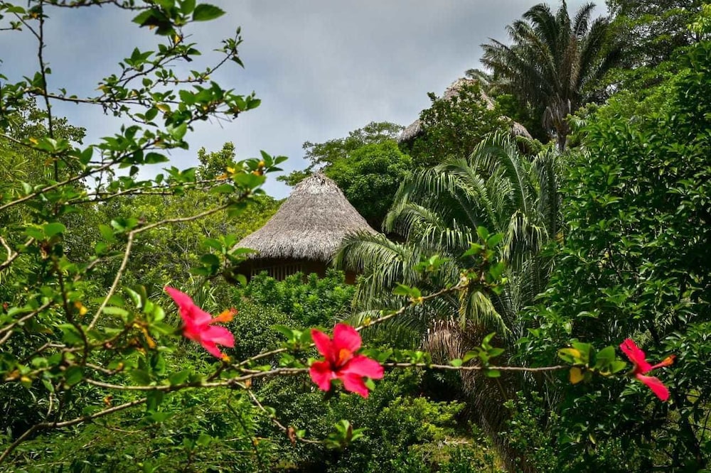 Ecohabs Bosques del Tayrona