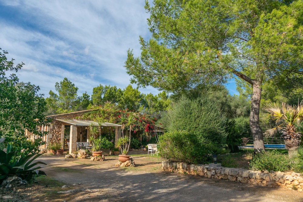 Garriga D Alcudiola in Mallorca