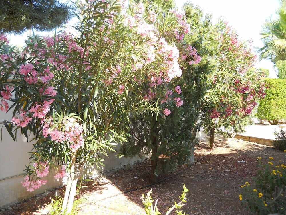 B&B La Strea