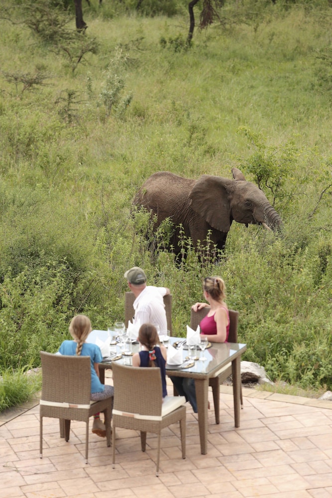 Spirit Of The Masai Mara