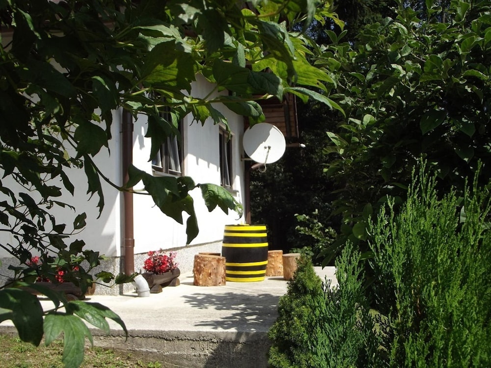 Photo 17