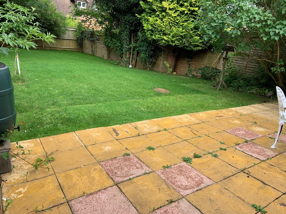Woodland Retreat in High Wycombe