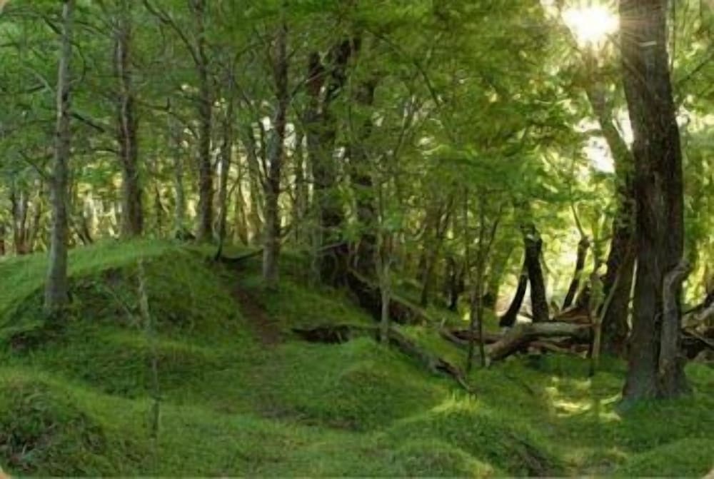 Estancia El Cencerro