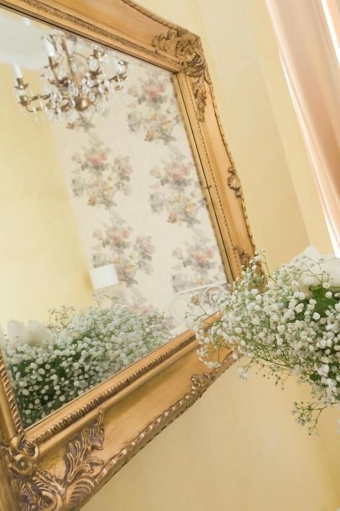 CAMEO B&b
