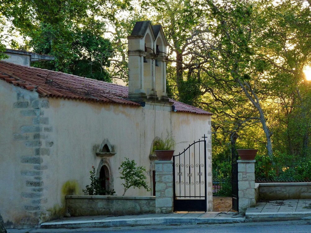 Photo 6