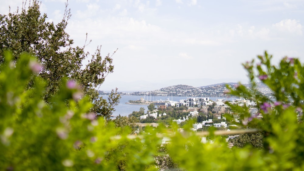 Spektr Boutique Hotel Yalıkavak - Image 58