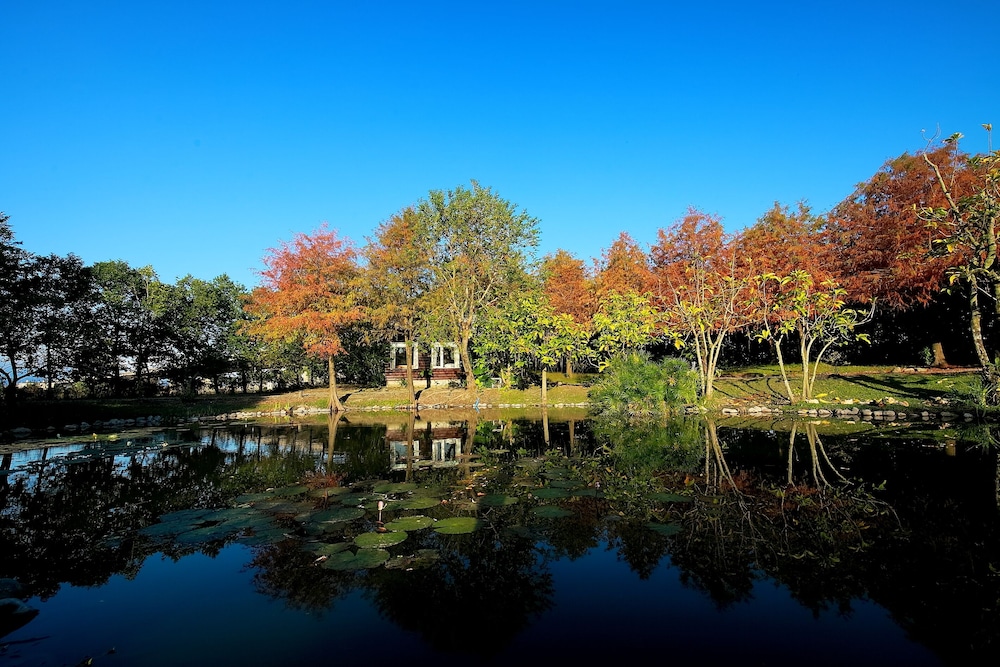Green Forest Villa