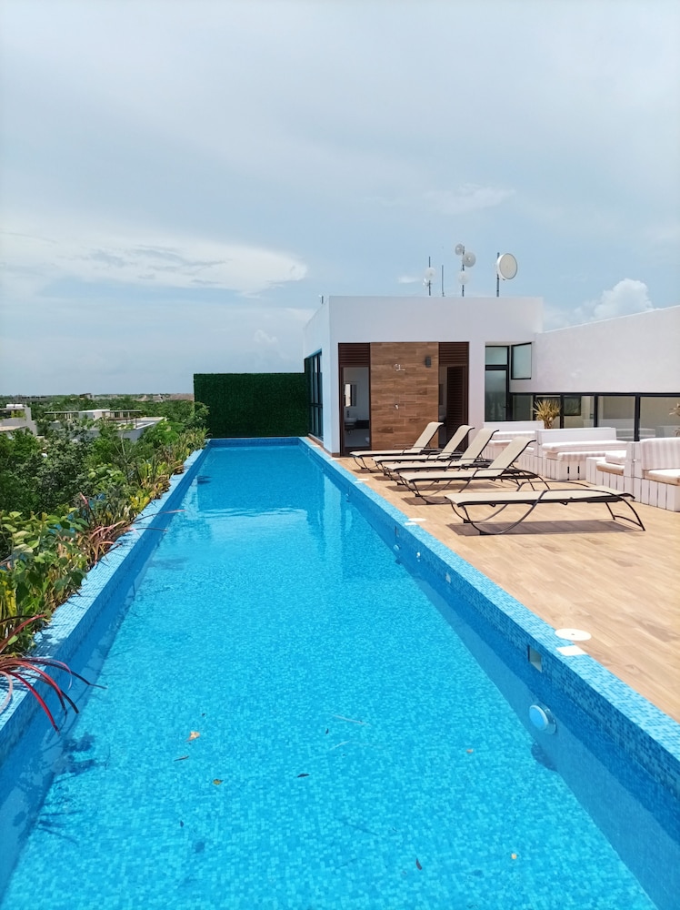 roof