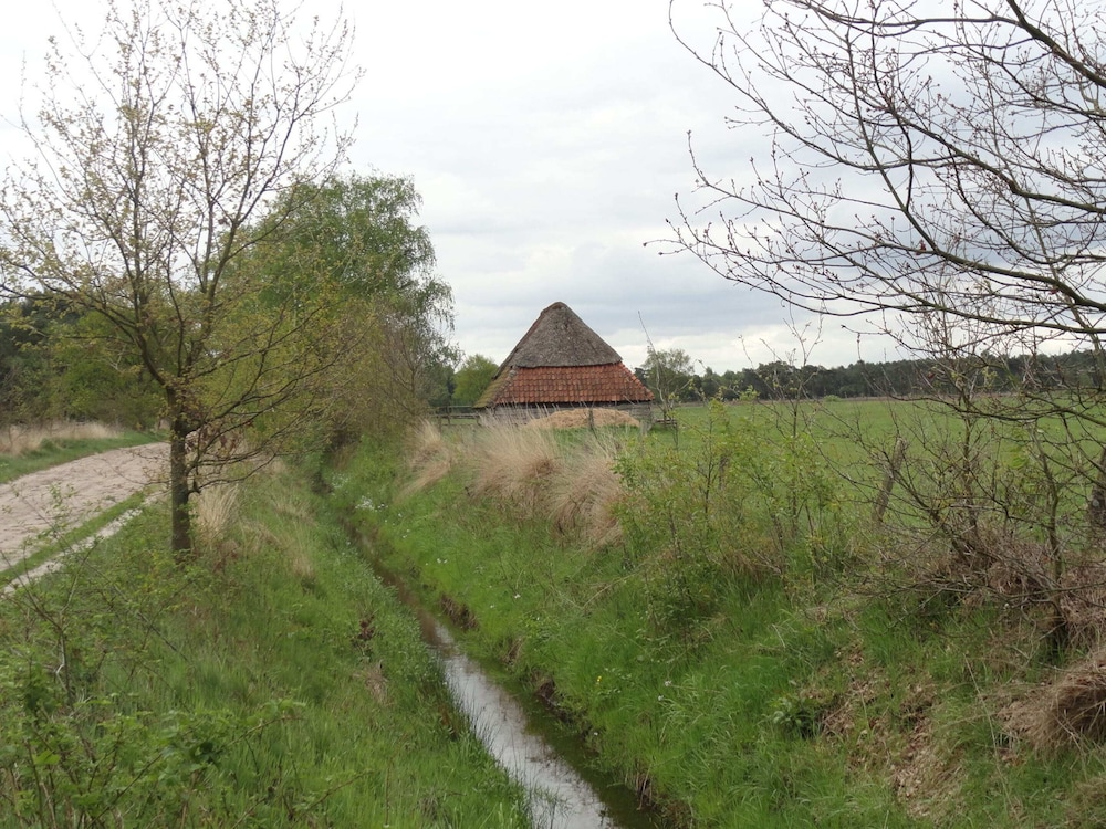 Photo 32