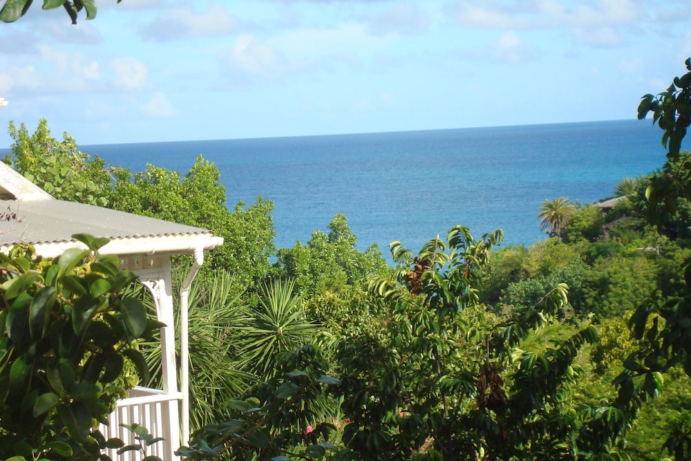Galley Bay Cottages - Property Image 36