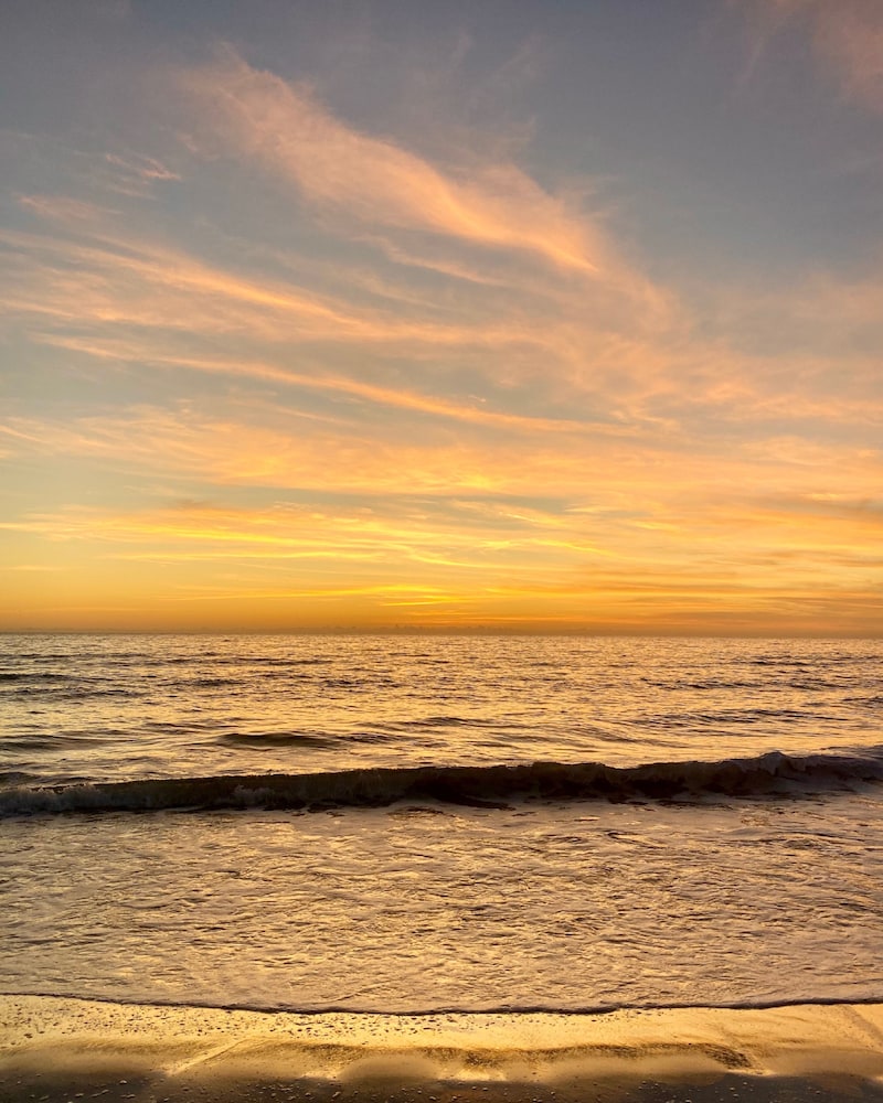 The Molloy - A Boutique Beach Resort