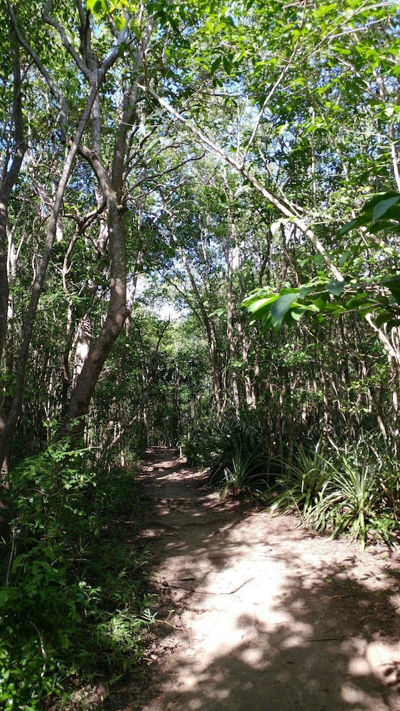 Photo 46