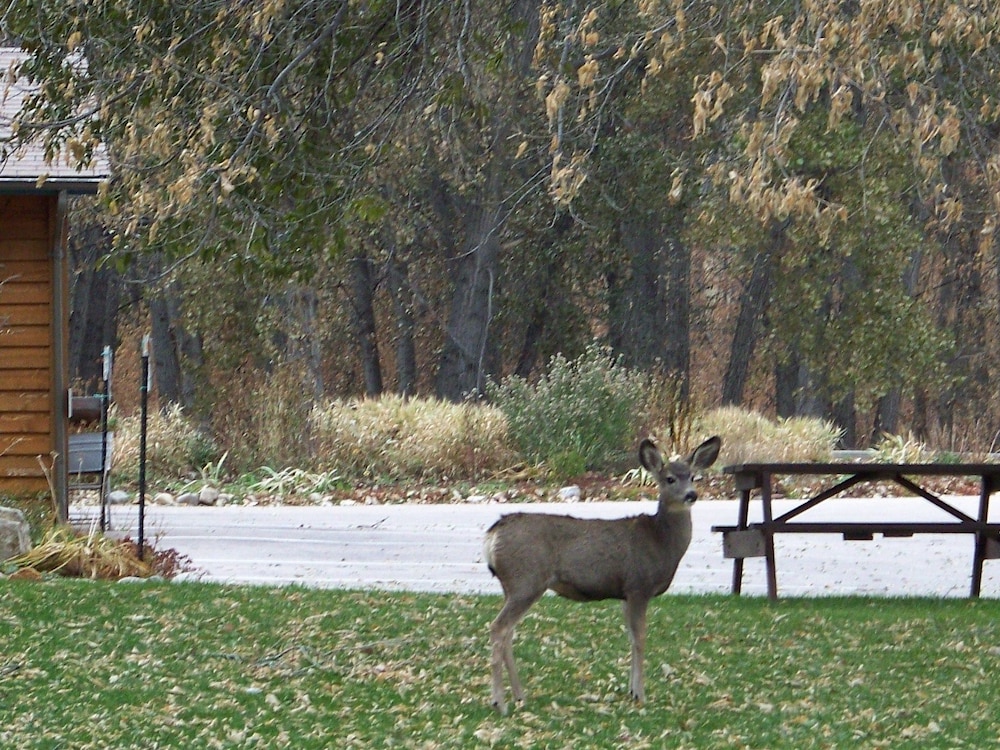 Canyon Lake Resort