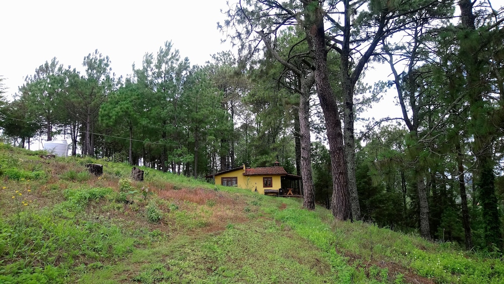 Cabañas el Pinar