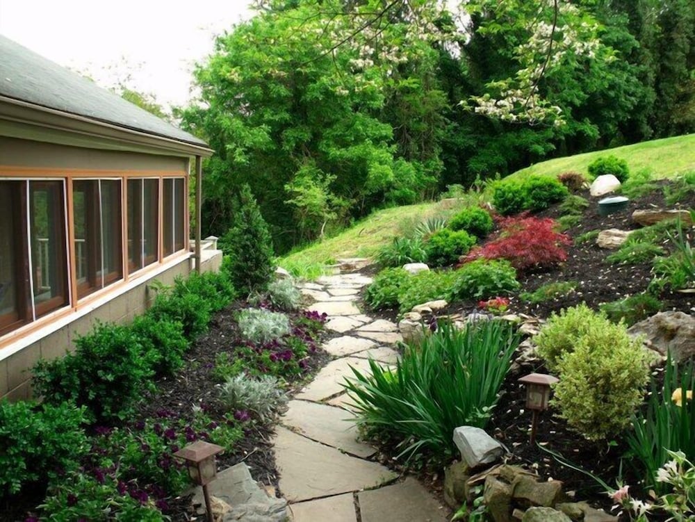 Ledge House Bed & Breakfast view 4