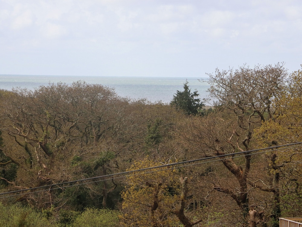 Y Goedlan