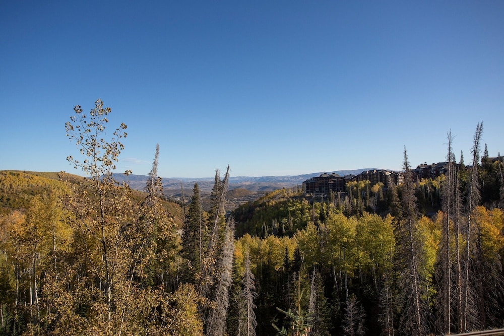 Grand Lodge - Three Bedroom #301 - Ski-in/ski-out 3 Condo