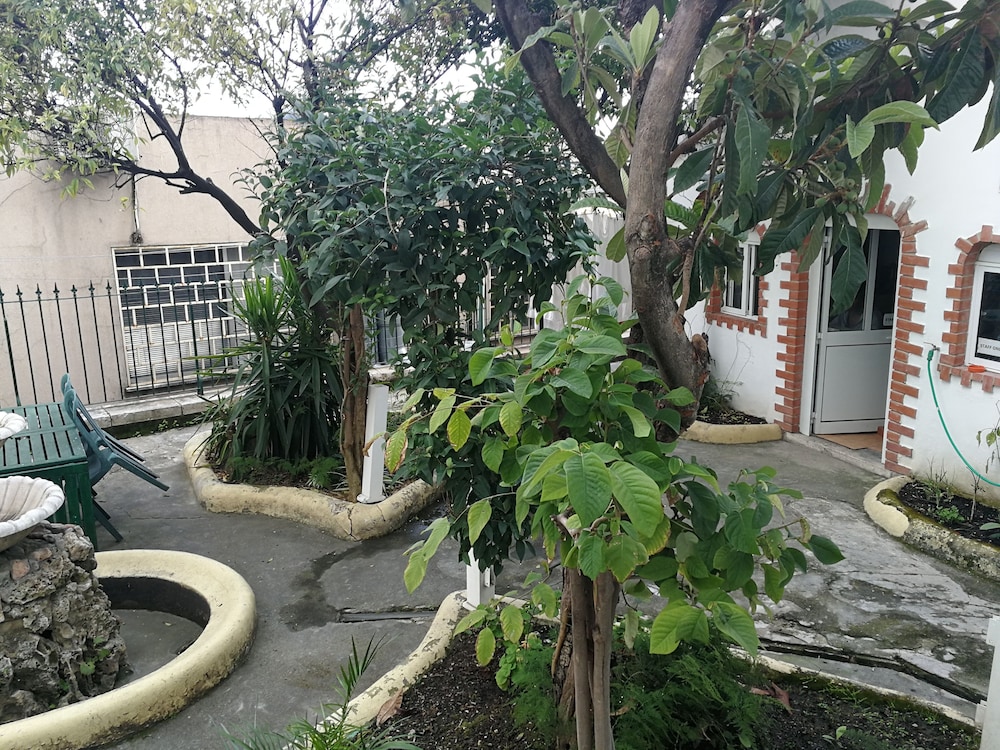 Mana Guest House photo 5