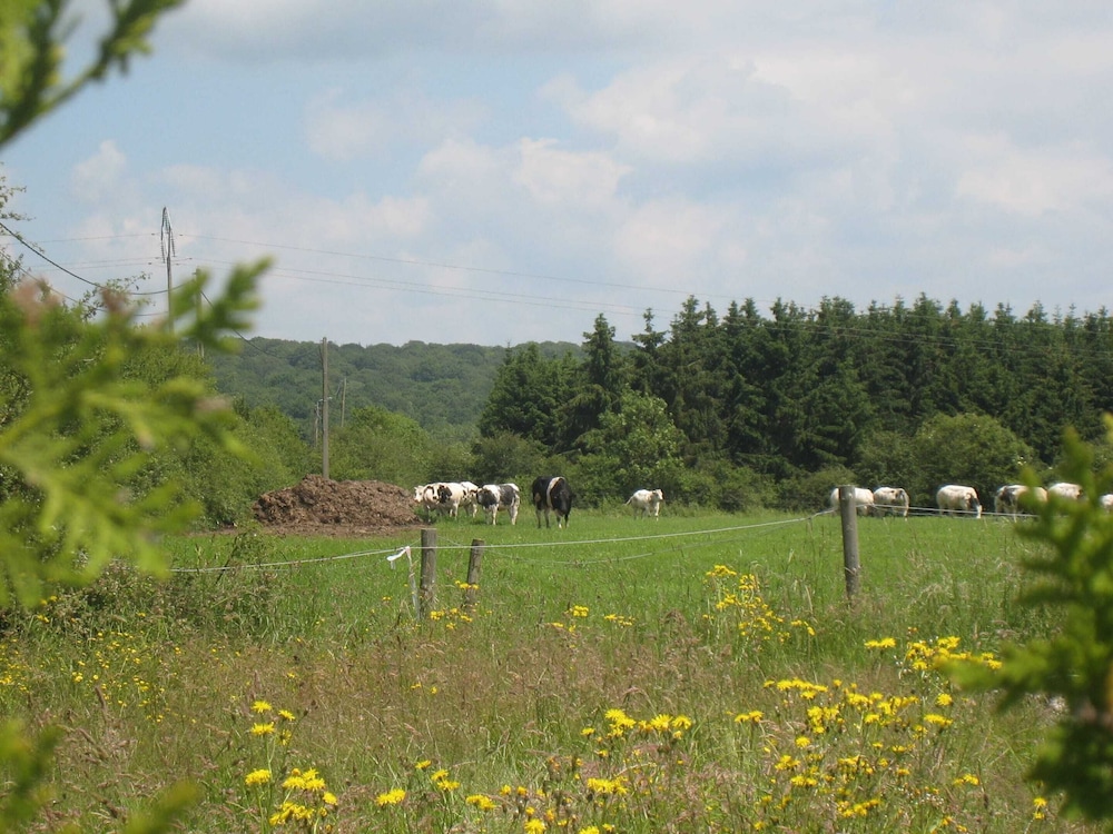 Ideal Cottage for Family & Friends Holiday - Calm in the Midst of Nature