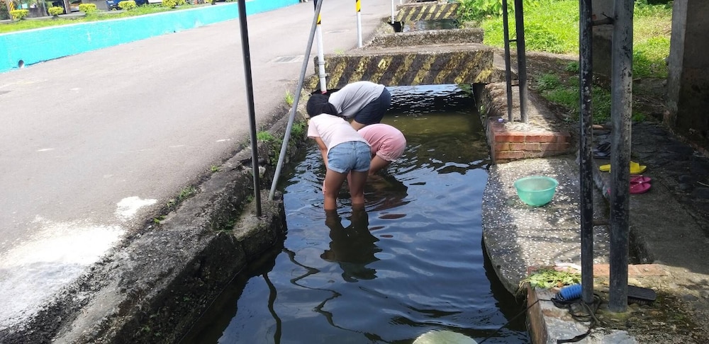 Photo 19