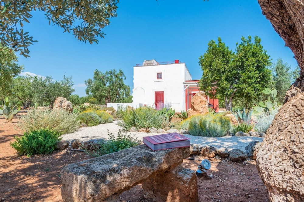 TD Lamia Porta Rossa Countryside w Olive Trees view 4