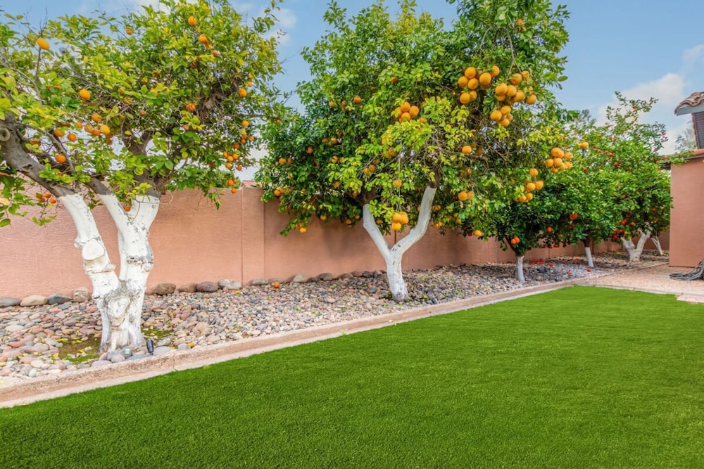 Historic Desert Rose Estate Pool Sauna Sleeps 12