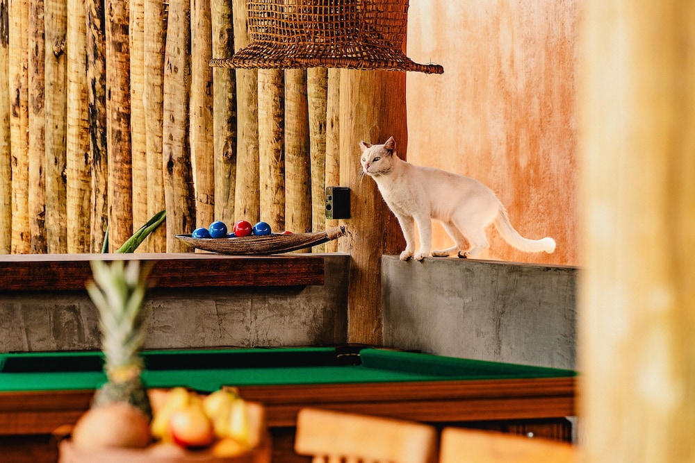 Vila Inca