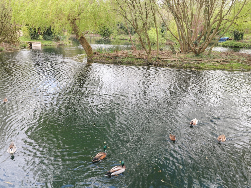 Kingfisher Lodge