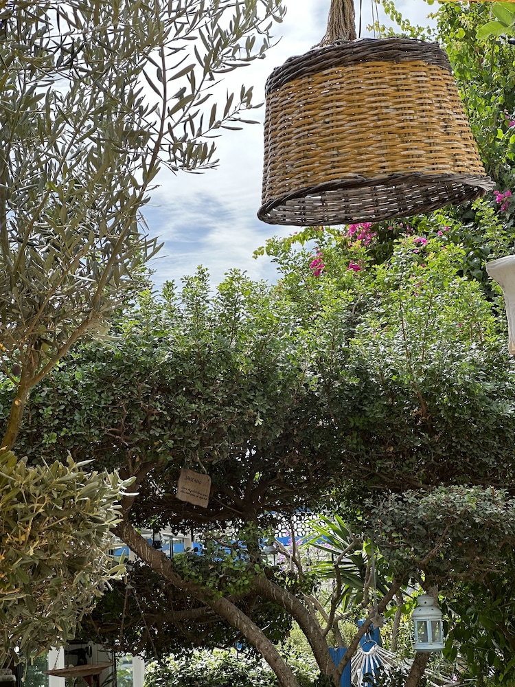 Kayezta Hotel Alacatı - Image 38