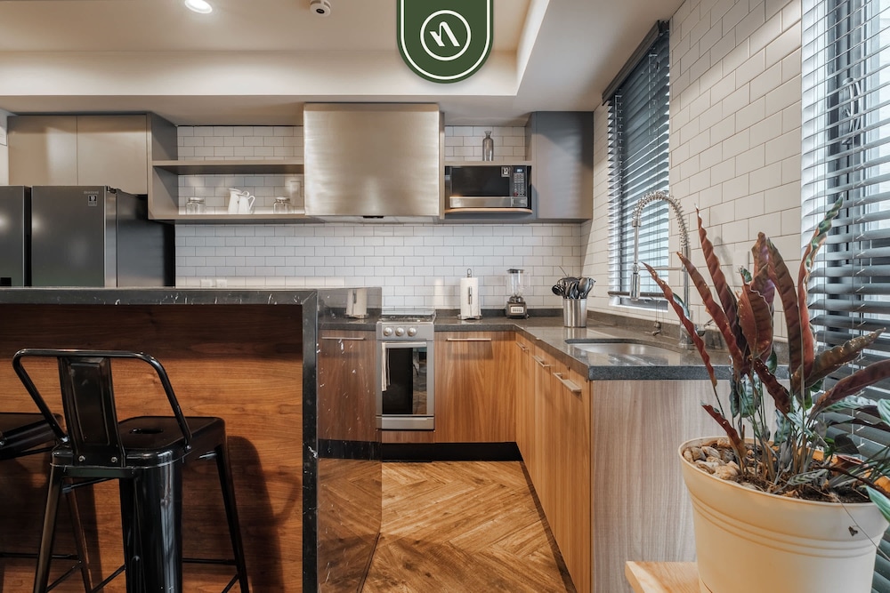 2BR Condo in Roma Norte - Private Terrace photo 2