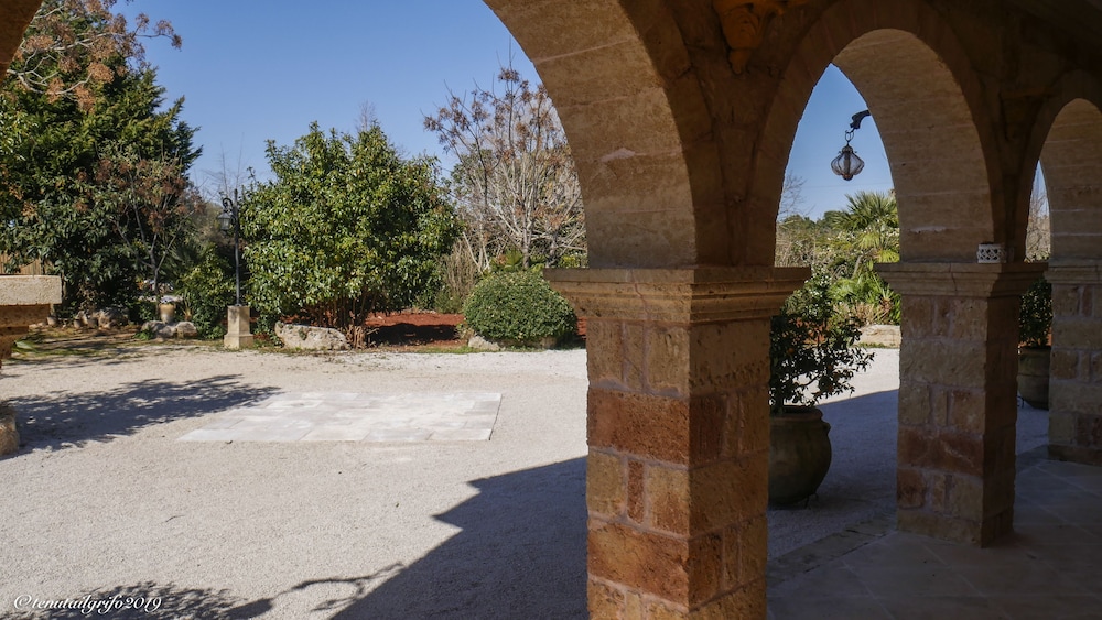 Tenuta il Grifo view 4