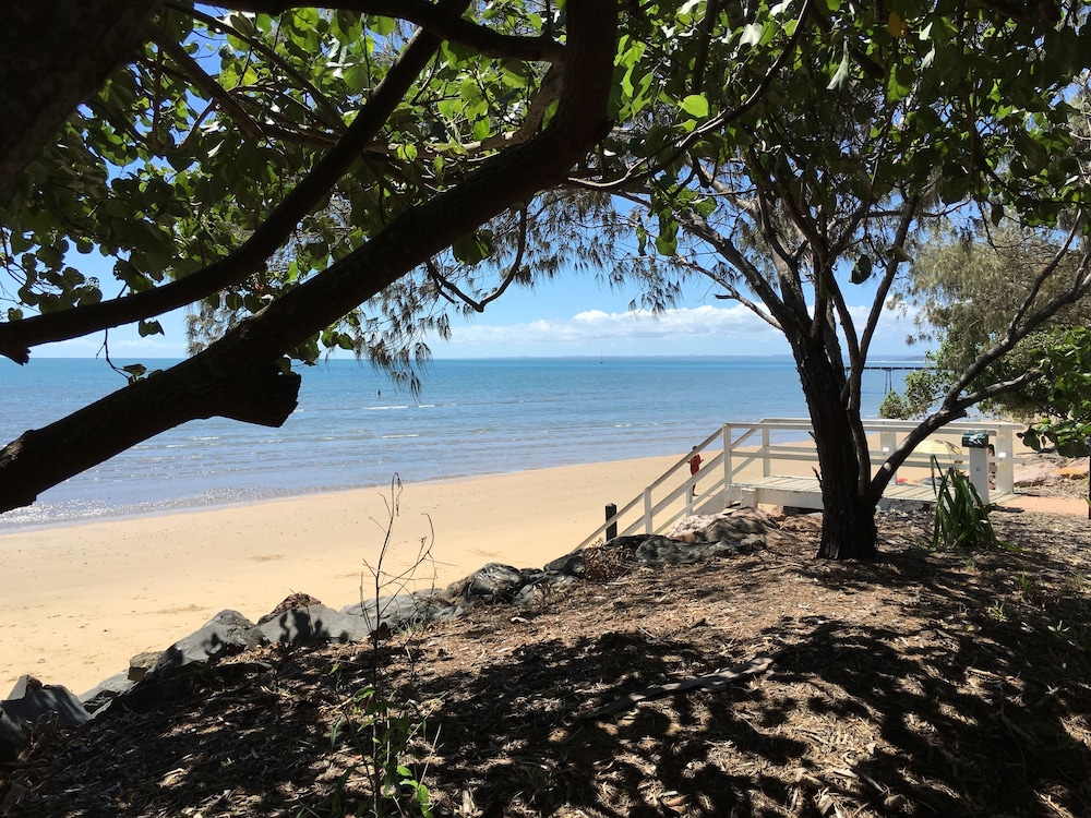 Coconut Palms On The Bay