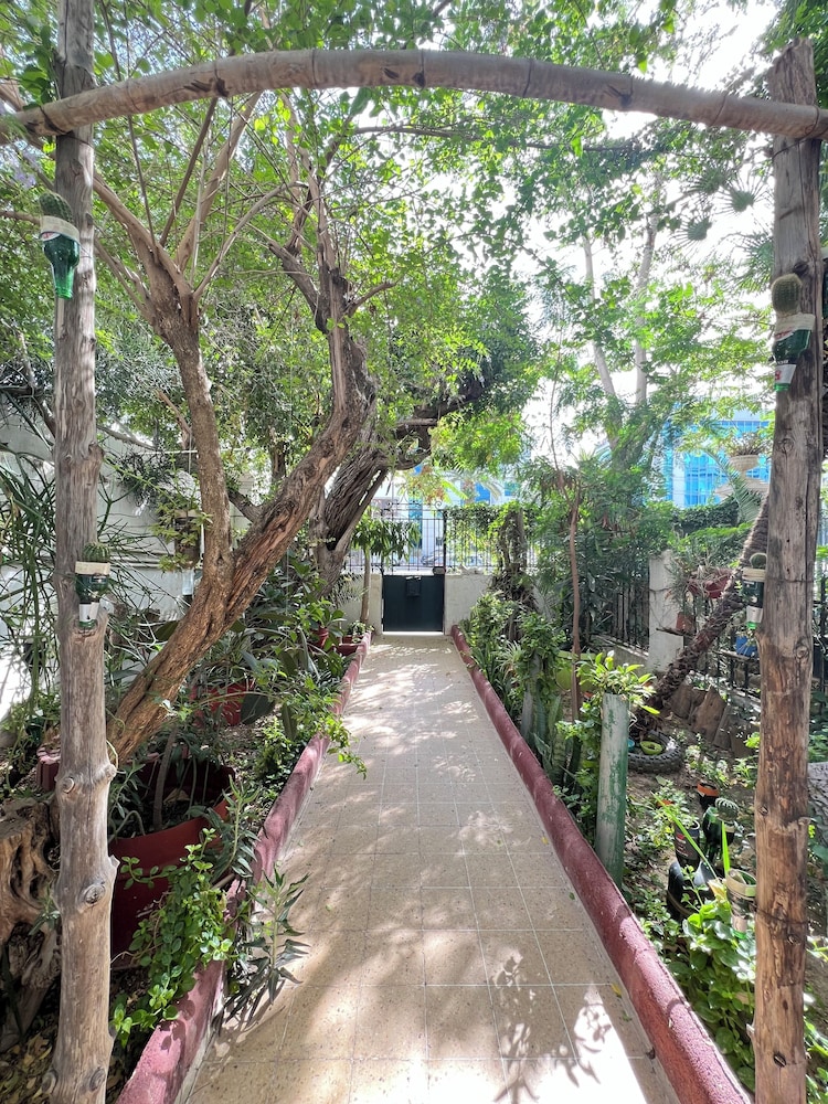 Villa Les Palmes