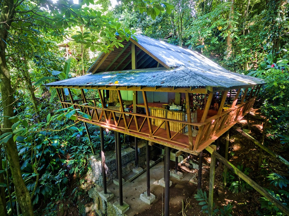 Cocoa Cottages - hotel in Papilotte Road, Roseau